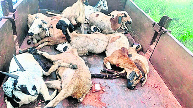 శ్రీ గుండిచా ఆలయం ప్రవేశానికి సర్వం సిద్ధం 1