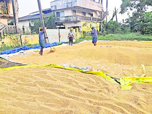 కర్షకుల్లో కలవరం!1