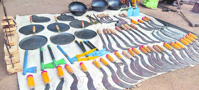 వలస జీవుల సాపాట్లు1