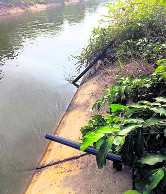 పొలాల్లో దొంగలు పడ్డారు!1