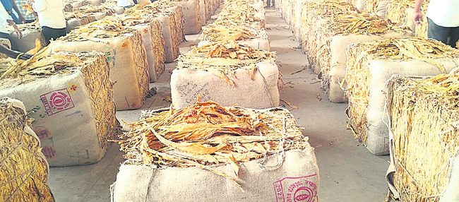 ముగిసిన పొగాకు వేలం 1