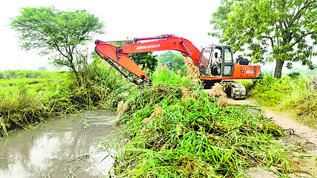 ఎండుతున్న పంటలు 1