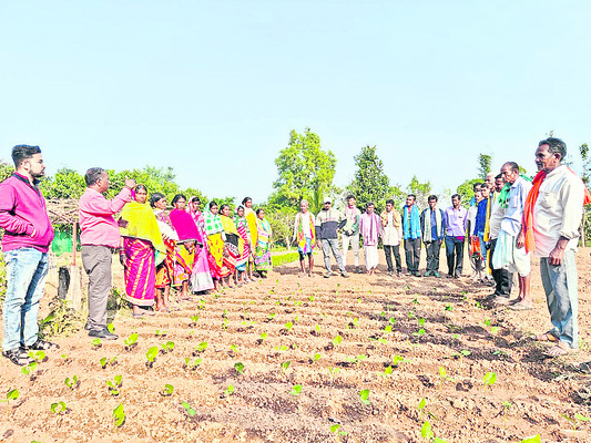 పోషక ఆహార తోటలపై శిక్షణ 1