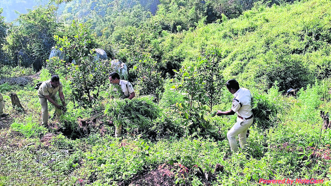 ఉపాధ్యాయుల నిరసన 1