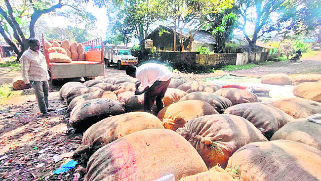 బంతి రైతు ఉసూరు1