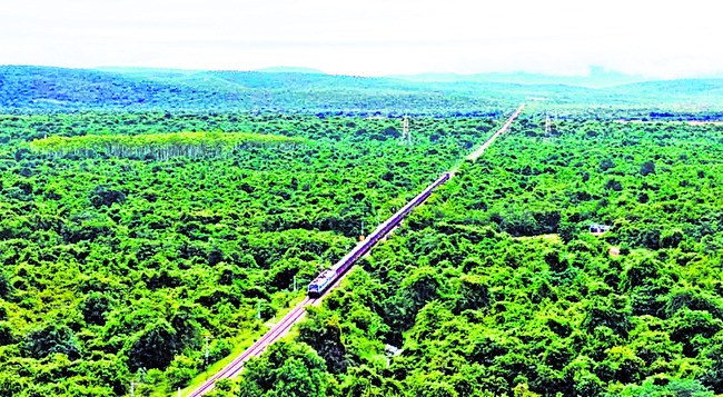 మదిని దోచి ‘పట్టా’రు..1