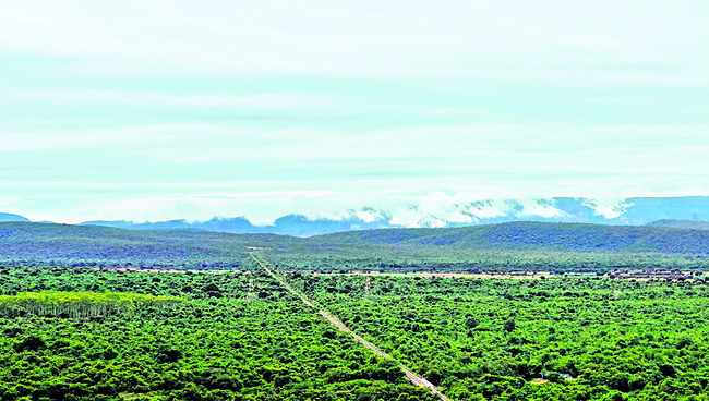 మదిని దోచి ‘పట్టా’రు..1