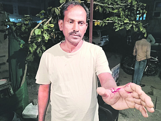 వీధి కుక్కల వీరంగం 1