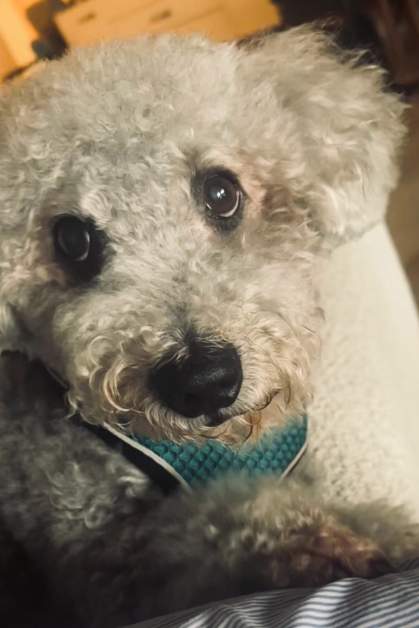 INtresting Facts About Actress Tamannaah Bhatia Daily Routine Life Photos13