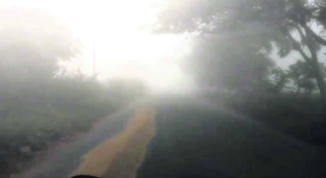 కమ్మేసిన పొగమంచు 1