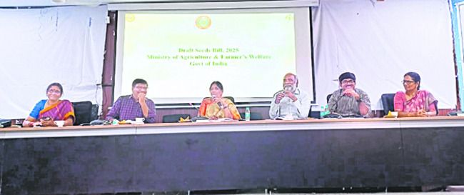 మైసిగండి హుండీ  ఆదాయం లెక్కింపు 
2