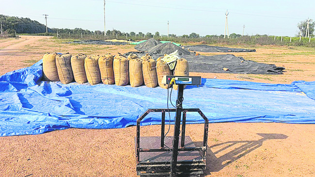 ప్రారంభించి.. పాతరేసి! 1