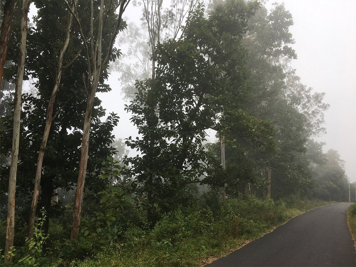 Beautiful Lambasingi Of Alluri Sitharama Raju District14