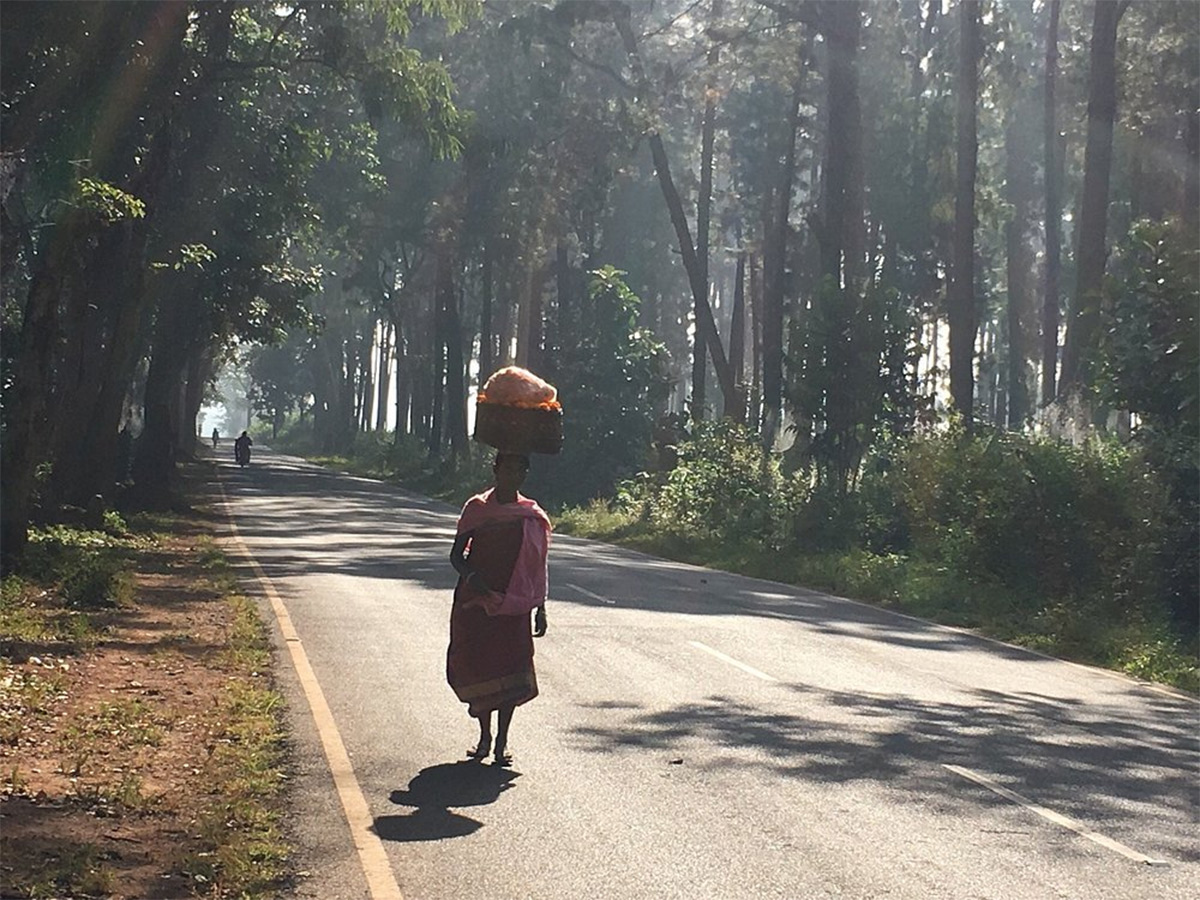 Beautiful Lambasingi Of Alluri Sitharama Raju District15