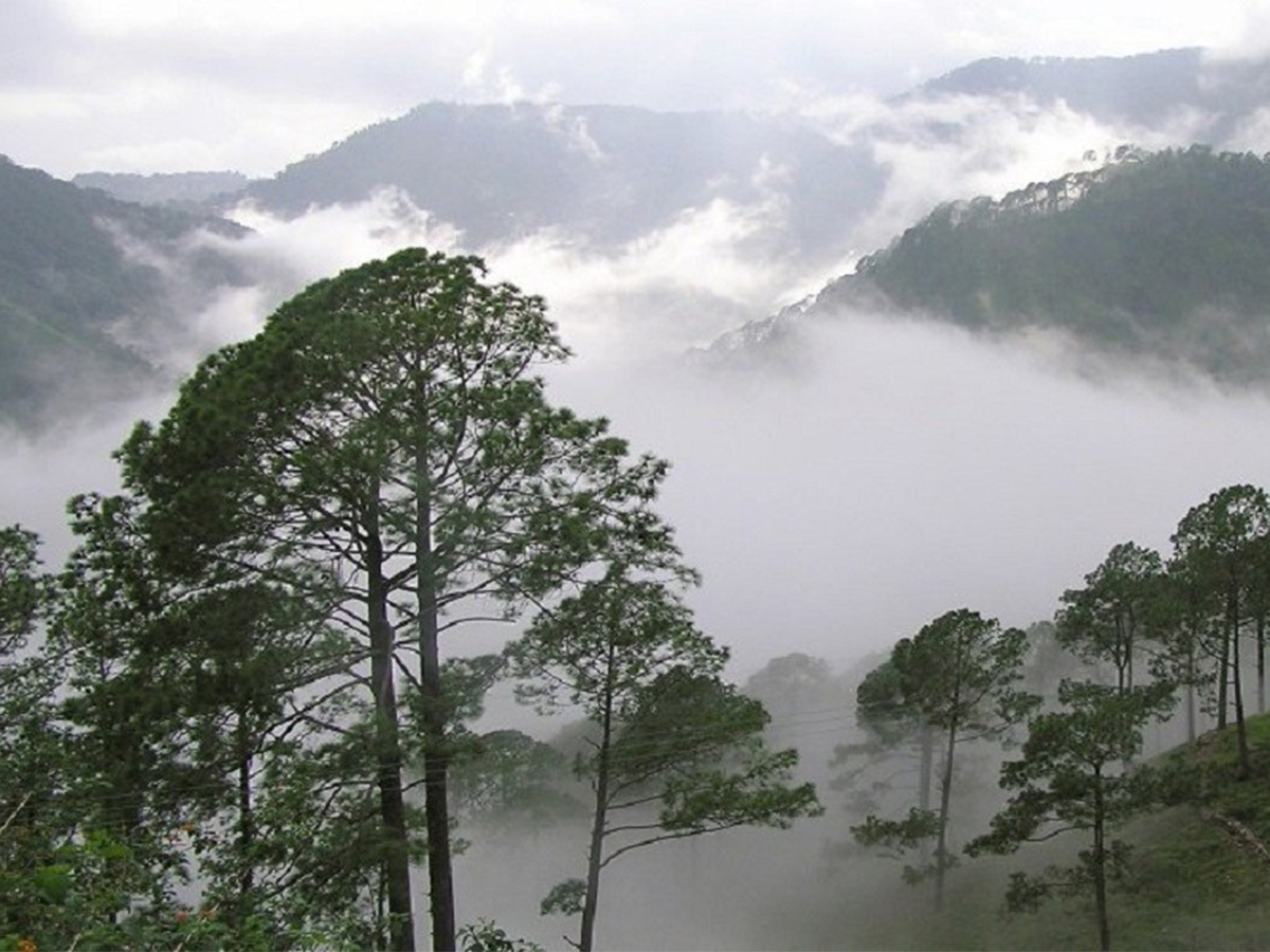 Beautiful Lambasingi Of Alluri Sitharama Raju District18