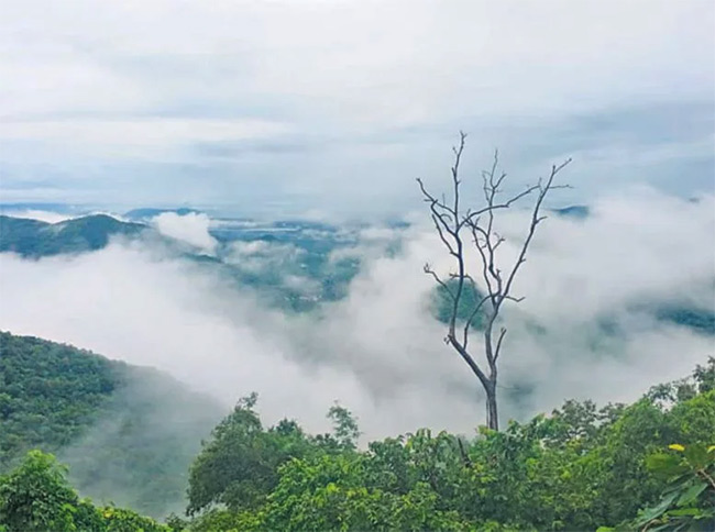 Beautiful Lambasingi Of Alluri Sitharama Raju District5