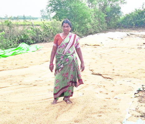 కష్టాలను ఎదుర్కొన్నా నష్టాల పాలే!2