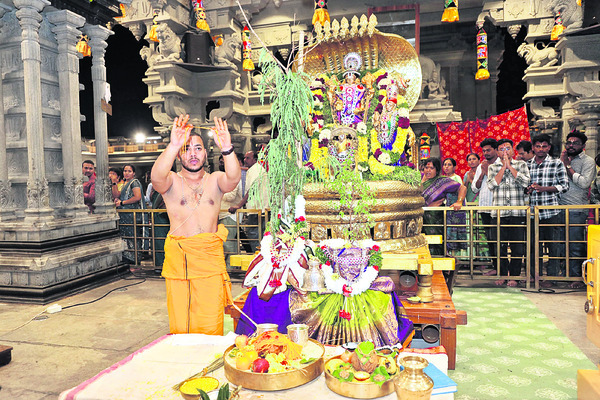 నేడు మత్స్యగిరి లక్ష్మీ నరసింహస్వామి కల్యాణం 1