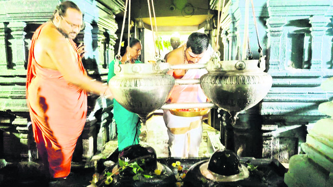 కార్తీక సందడి2