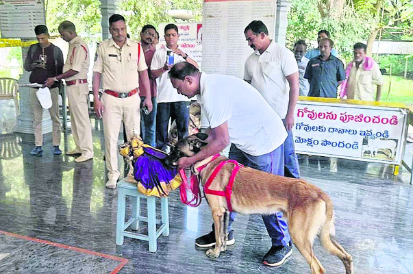 ఆలయంలో ఆభరణాల చోరీ1