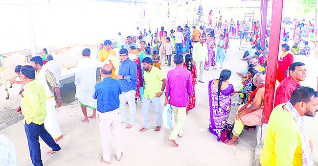 శివయ్యకు మొక్కులు
1