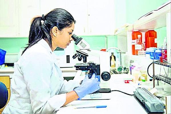 పుట్టగొడుగుల్లా పుట్టుకొస్తున్న ల్యాబ్‌లు..! 1