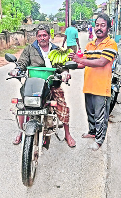 ● చెట్లపైనే మాగుతున్న కాయలు.. 3