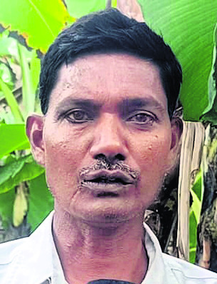 ● చెట్లపైనే మాగుతున్న కాయలు.. 4