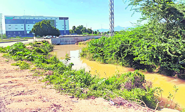 ప్రాణాలంటే ‘ఇసుక’ంత మాత్రం! 1