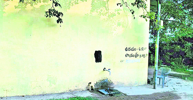 శుద్ధ అబద్ధం 
1