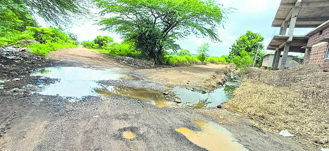 దత్తత.. ఉత్తదే..! 1