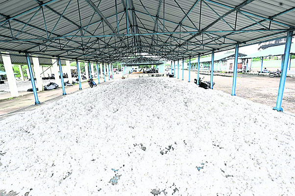 పత్తి రైతుకు 1