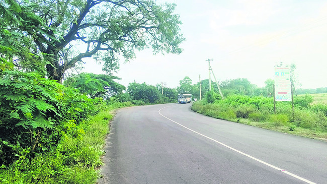 అధికంగా మూలమలుపులు.. తరచూ ప్రమాదాలు1