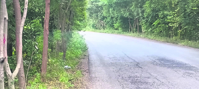 అధికంగా మూలమలుపులు.. తరచూ ప్రమాదాలు4