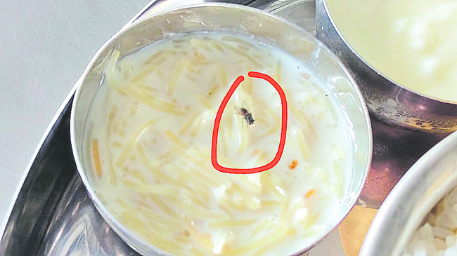 సాంబారు, సేమియాలో ఈగలు 2