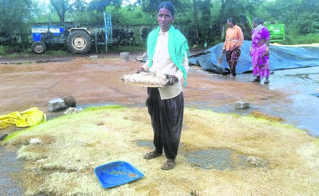 వదలని వరుణుడు 1