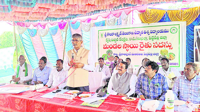 వరి విత్తనం సిద్ధం1