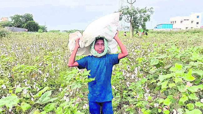 చదువు ‘కూలీ’పోయింది!1