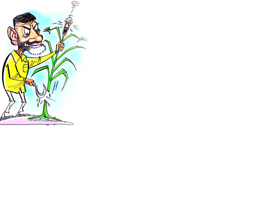 మీరూ ముంచేస్తారా..బాబూ!1