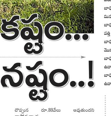 కృష్ణాజిల్లా1