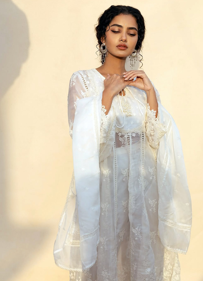 Anupama Parameswaran looks like Angel (photos)3