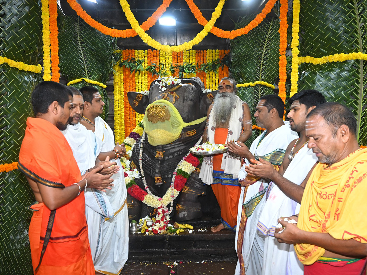 Devotional : Laksha Deepotsavam In Srisailam Photos5