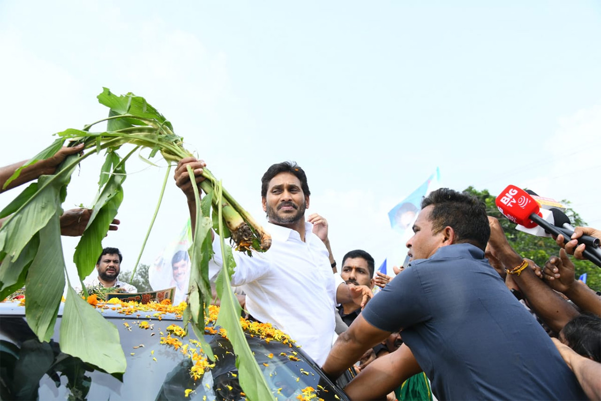 Unstoppable Jagan Mass Craze Krishna District Tour Photos11