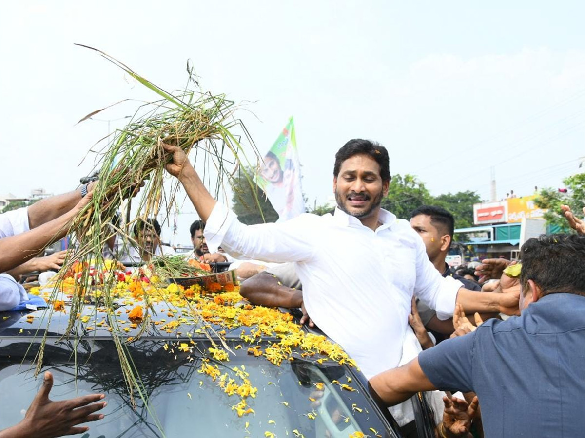 Unstoppable Jagan Mass Craze Krishna District Tour Photos13