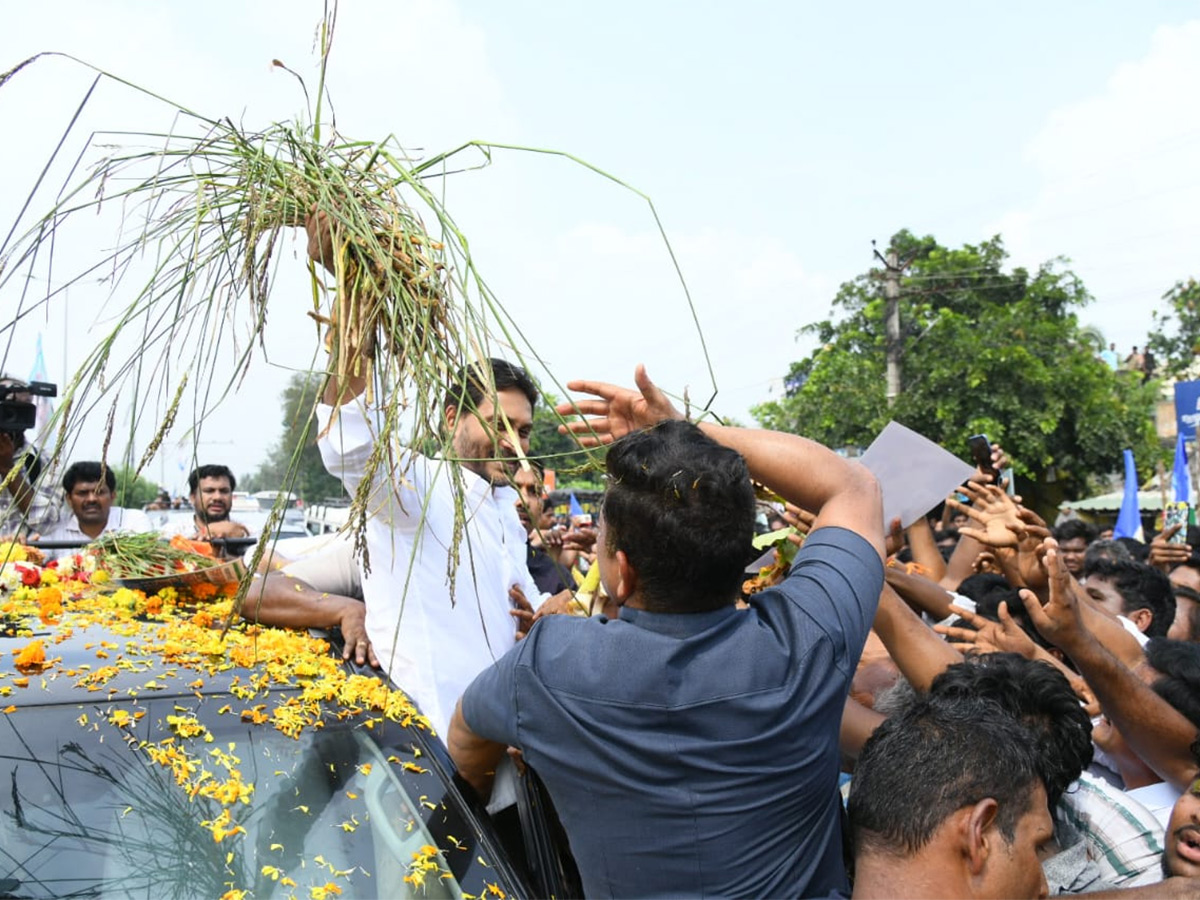 Unstoppable Jagan Mass Craze Krishna District Tour Photos14