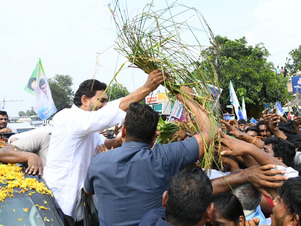 Unstoppable Jagan Mass Craze Krishna District Tour Photos15