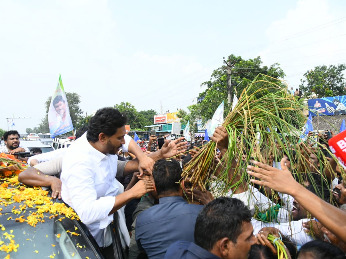 Unstoppable Jagan Mass Craze Krishna District Tour Photos16