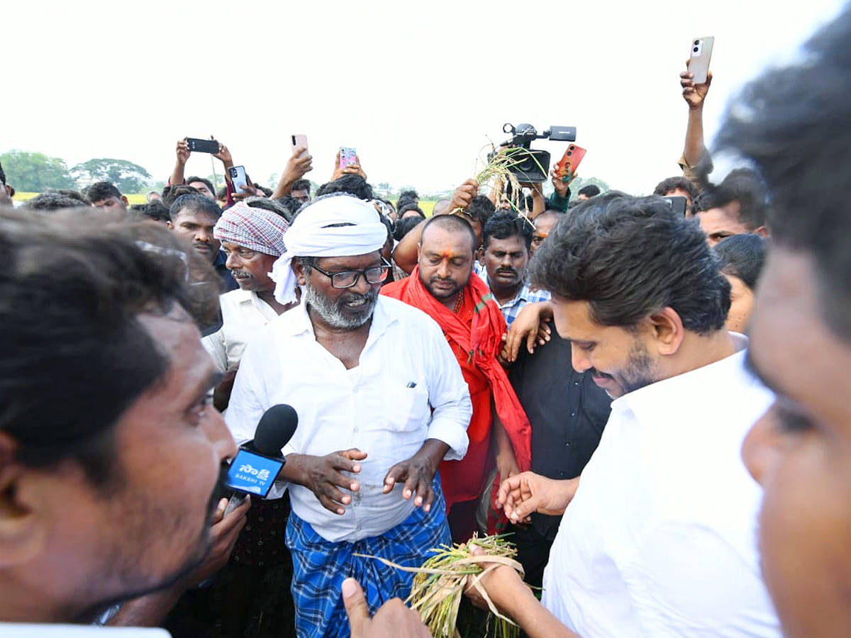 YS Jagan visits cyclone Hit farmers In Krishna District PHotos5