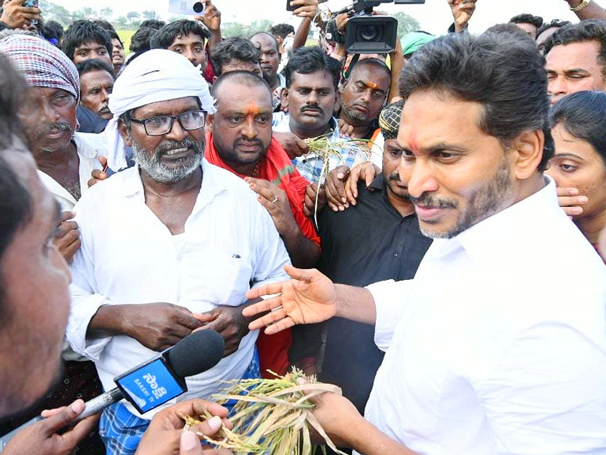 YS Jagan visits cyclone Hit farmers In Krishna District PHotos6