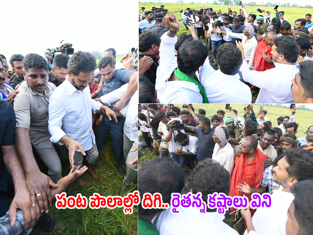 YS Jagan visits cyclone Hit farmers In Krishna District PHotos1